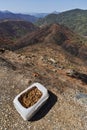 Help the animals with food in the fire in Jubrique, border with Sierra Bermeja in the Genal Valley, Malaga. Spain. September 2021