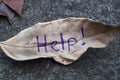 Help! written on leaf