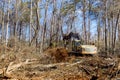 With help of an excavator worker uproots trees in forest, preparing ground for building a house