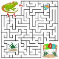 Help Iguana to find the right path to Zoo, ball, bush. 3 entrances, 3 way. Square Maze Game with Solution. Answer under the layer