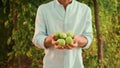 Help for invalids. A disabled caucasian man in a straw hat holds a passion fruits crop in his hands. Jib shot