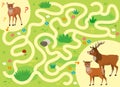 Help the little lost fawn find the way to his family. Color maze or labyrinth game for preschool children. Puzzle. Tangled road.