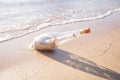 Help message bottle beach Royalty Free Stock Photo