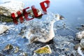 Help nature sign. Bird stuck in polluted water with tar. Dying animals in industrial wastes. Dirty rivers and oceans with oil.