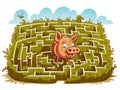 Help the pig to get home and out of the Rebus Royalty Free Stock Photo