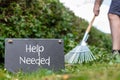 Help wanted in the garden. Man is raking leaves of a freshly cut hornbeam hedge. The words Royalty Free Stock Photo