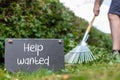 Help wanted in the garden. Man is raking leaves of a freshly cut hornbeam hedge. The words Royalty Free Stock Photo