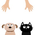 Helping hand. Dog Cat Pet adoption. Puppy pooch kitty cat looking up to human hands. Flat design. Help homeless animal concept. Wh Royalty Free Stock Photo