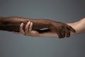 Racial tolerance. Respect social unity. African and caucasian hands gesturing isolated on gray studio background