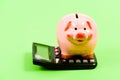 Helping make smart financial choices. Pay taxes. Taxes calculator. Accounting business. Piggy bank symbol money savings