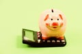 Helping make smart financial choices. Pay taxes. Taxes calculator. Accounting business. Piggy bank symbol money savings