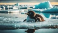Helpless baby penguin floating on a tiny ice sheet in ocean, generated by AI