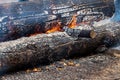 Helsinki, Finland - April 1, 2018: Burning log at Haltiala farm on family day for grilling sausages