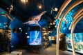 Helsinki, Finland. Model Of Prehistoric Extinct Sharks In Oceanarium