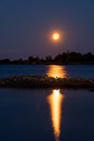 A beautiful full moon casting reflection on the calm water. A silhouette of a small skerry with a flock of Canada Gooses