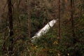 Helton Creek Falls Royalty Free Stock Photo