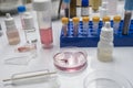 Hematological analysis with forensic test kit in a murder in a crime lab Royalty Free Stock Photo