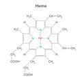 Heme, or haem diagram biochemistry vector illustration structure