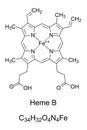 Heme B, haem B, or protoheme IX, chemical formula and structure