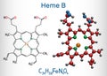 Heme B, haem B, protoheme IX molecule. It is component of hemoglobin, myoglobin, peroxidase and cyclooxygenase families of enzymes Royalty Free Stock Photo