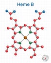 Heme B, haem B, protoheme IX molecule. It is component of hemoglobin, myoglobin, peroxidase and cyclooxygenase families of enzymes Royalty Free Stock Photo