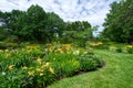 Hemerocallis management at Montreal Botanical Garden