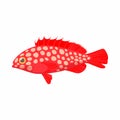 Hemichromis fish icon, cartoon style Royalty Free Stock Photo