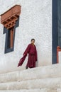 Hemis Monastery, a Tibetan Buddhist monastery gompa