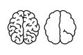 Hemispheres of the brain with one and with many gyrus and with m