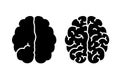 Hemispheres of the brain with one and with many gyrus and with m