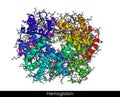 Hemoglobin haemoglobin, Hb or Hgb molecule. It is blood protein. Molecular model. 3D rendering