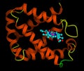 Hemoglobin molecule with heme