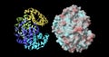 Hemoglobin molecule . View 2 . 3d rendering illustration