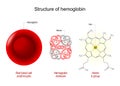 Hemoglobin structure. Red blood cell, hemoglobin molecule, and structural formula of a Heme Royalty Free Stock Photo