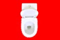 Hemorrhoids problem concept. White ceramic toilet with spikes on a red background.
