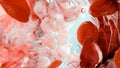 Hemostasis. Red blood cells and platelets in the blood vessel, vasoconstriction, wound healing process. hemorrhage clot embolisms Royalty Free Stock Photo