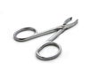 Hemostat Royalty Free Stock Photo