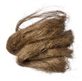 Hemp fiber from sturdy natural plant fibres as the nature of the material for textiles, shipping and construction, isolated on Royalty Free Stock Photo