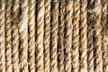 Hemp fiber twisted and coiled rope Royalty Free Stock Photo