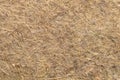 Hemp growing mat, surface and background, close-up, from above Royalty Free Stock Photo