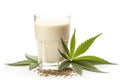 Hemp Milk. high resolution, Isolated on White Background.