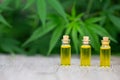 Hemp oil cbd, Cannabis herb and leaves for treatment, Extract from hemp oil