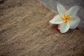 Hemp sack background with Plumeria - vintage filter.