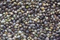 Hemp seeds background Royalty Free Stock Photo