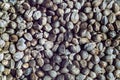 Hemp seeds background Royalty Free Stock Photo