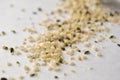 Hemp seeds Royalty Free Stock Photo