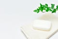 Hempen towel and Soap. Royalty Free Stock Photo