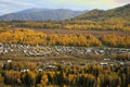 Hemu village in colorful autumn in morning golden light, Xinjiang, China