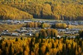 Hemu village in colorful autumn in morning golden light, Xinjiang, China