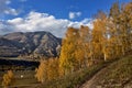 Blue sky, white clouds and birch forest in Hemu Village, Kanas, Northern Xinjiang